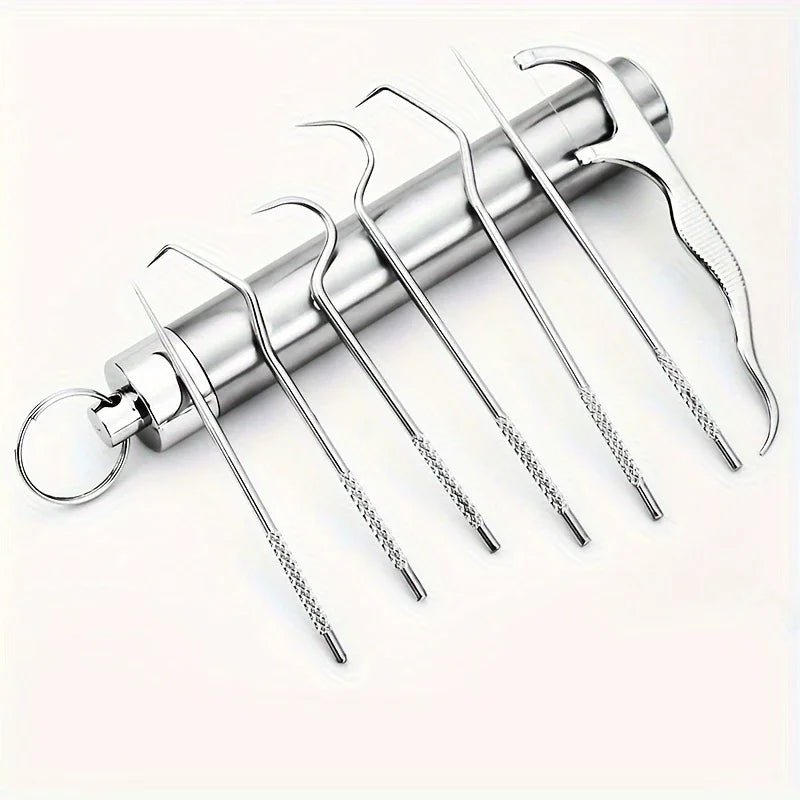 1Set Stainless Steel Toothpick Set Tooth Flossing Reusable Toothpicks Portable Toothpick Floss Teeth Cleaner Oral Cleaning Tools