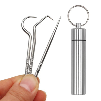 1Set Stainless Steel Toothpick Set Tooth Flossing Reusable Toothpicks Portable Toothpick Floss Teeth Cleaner Oral Cleaning Tools